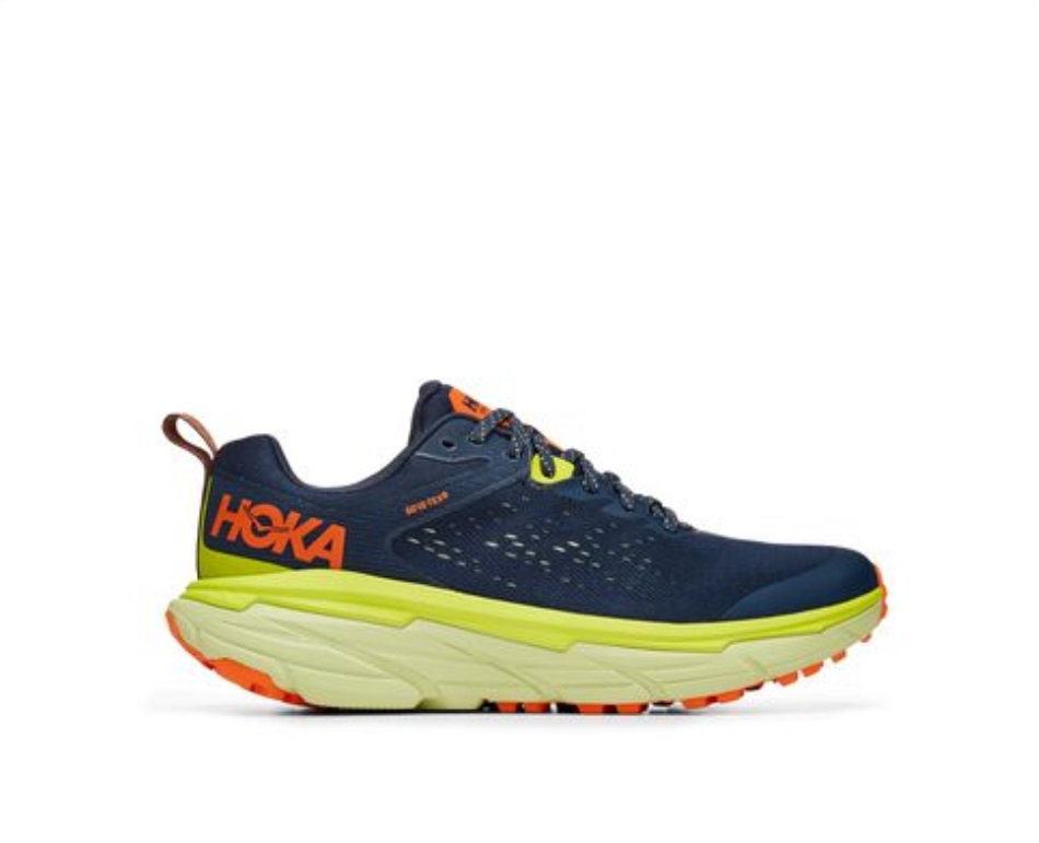 Challenger ATR 6 GTX Hoka Outer Space Butterfly
