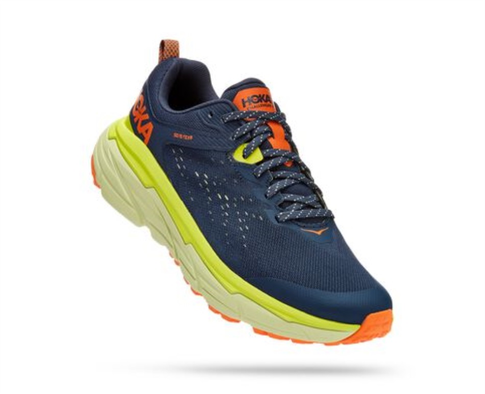 Challenger ATR 6 GTX Hoka Outer Space Butterfly