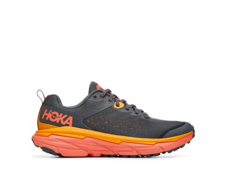 Challenger ATR 6 Hoka Castlerock Camellia