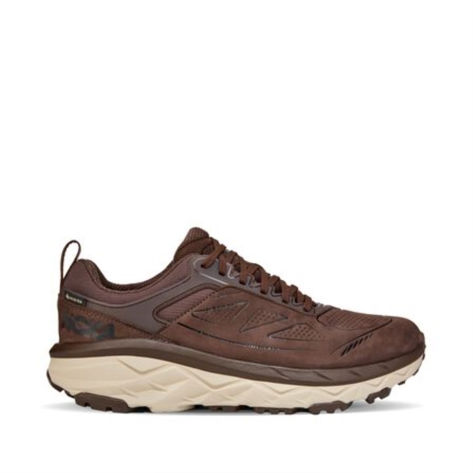 Challenger Low GTX Hoka Demitasse