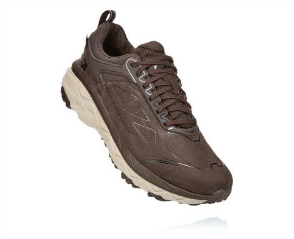 Challenger Low GTX Hoka Demitasse