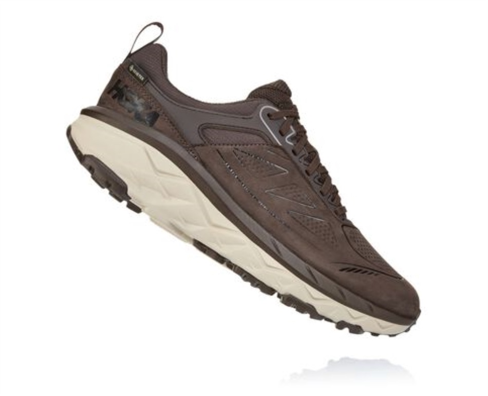 Challenger Low GTX Hoka Demitasse