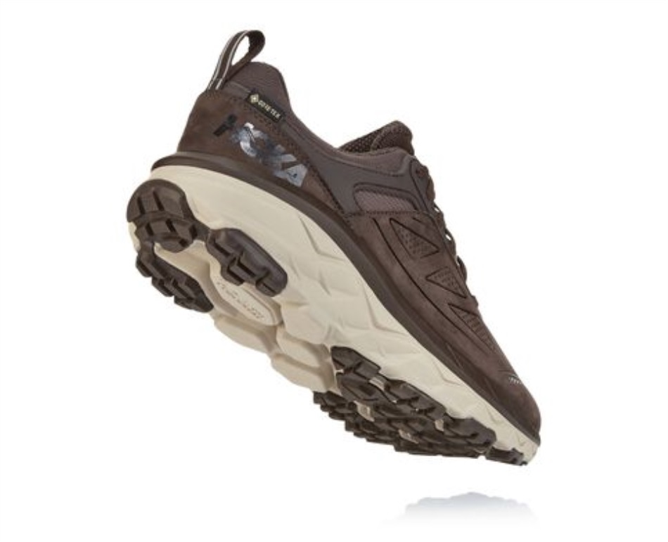 Challenger Low GTX Hoka Demitasse