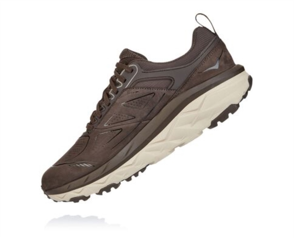 Challenger Low GTX Hoka Demitasse